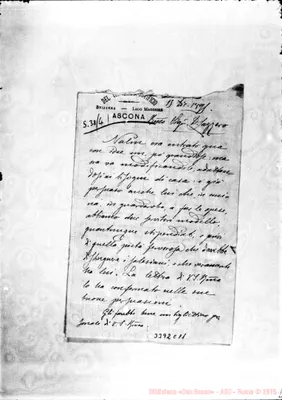 Fotogramma C 11
