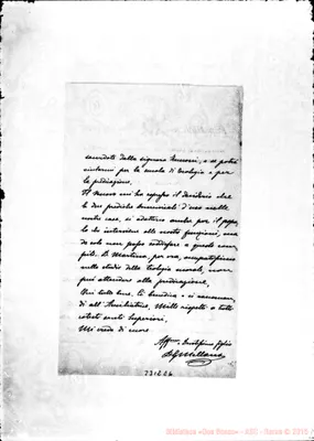 Fotogramma E 6
