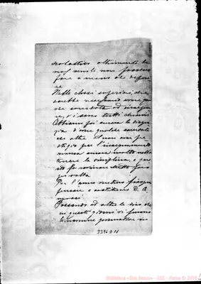 Fotogramma D 11