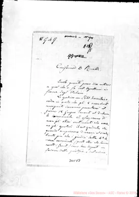 Fotogramma E 8