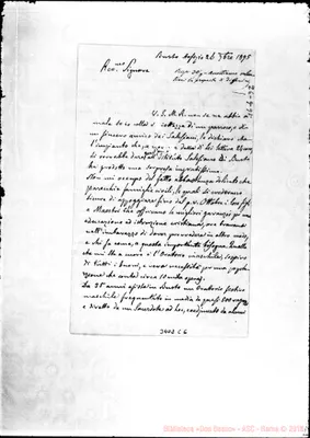 Fotogramma C 6