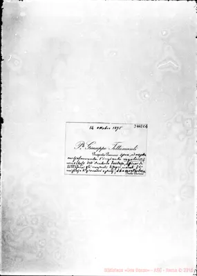 Fotogramma C 11