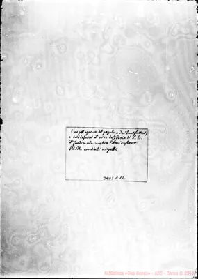 Fotogramma C 12