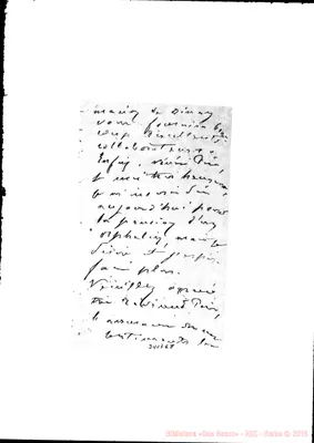 Fotogramma E 8