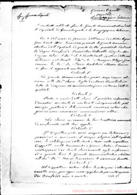 Fotogramma D 8