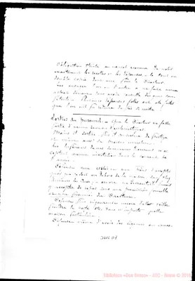 Fotogramma D 7