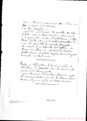 Fotogramma D 11