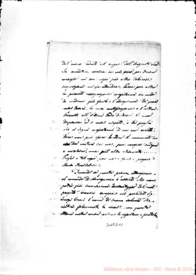 Fotogramma D 11