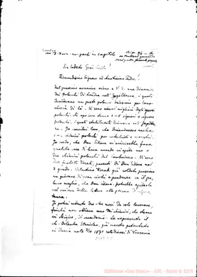 Fotogramma C 8