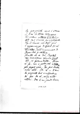 Fotogramma D 10