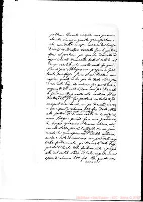 Fotogramma D 11