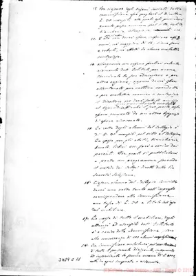 Fotogramma C 11