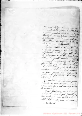 Fotogramma D 11