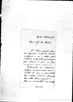 Fotogramma A 11