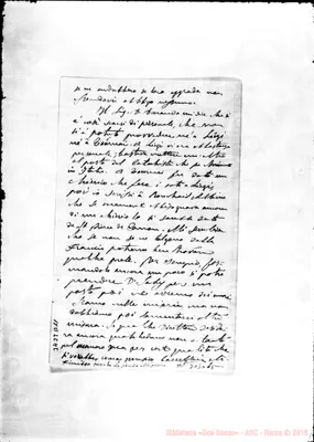 Fotogramma D 11