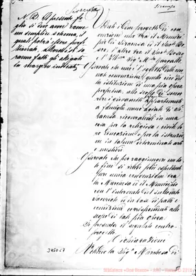 Fotogramma C 7