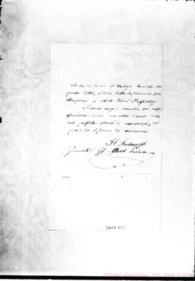 Fotogramma D 5