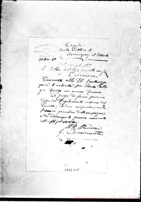 Fotogramma D 11