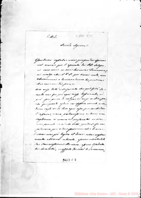 Fotogramma C 6