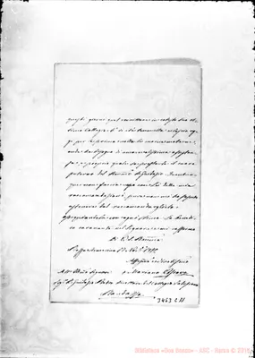 Fotogramma C 11