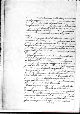 Fotogramma D 3