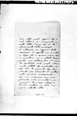Fotogramma C 11