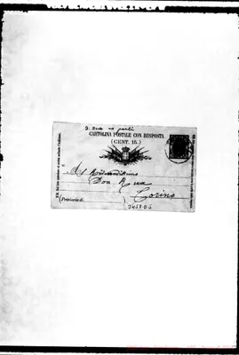 Fotogramma D 5