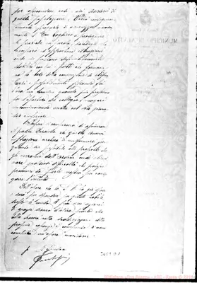 Fotogramma D 1