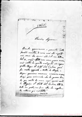 Fotogramma D 10