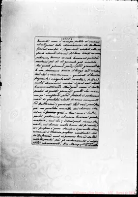 Fotogramma C 7