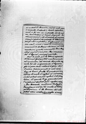 Fotogramma C 8