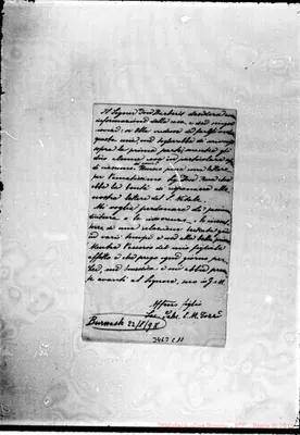 Fotogramma C 11