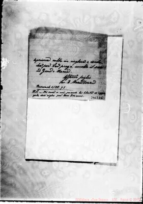 Fotogramma D 6