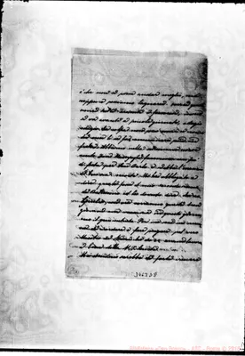 Fotogramma D 8