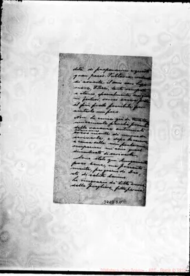 Fotogramma D 11