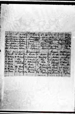 Fotogramma E 12