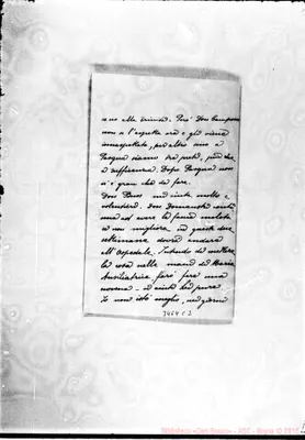 Fotogramma C 2