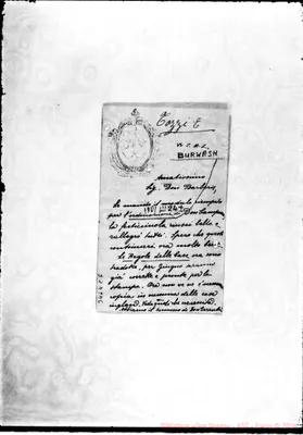 Fotogramma C 6