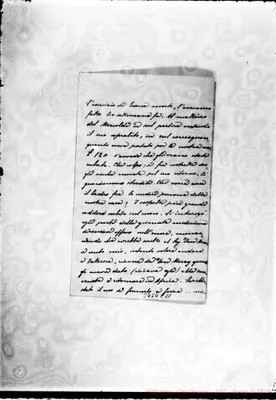 Fotogramma C 11
