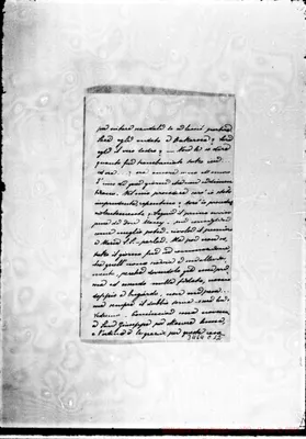 Fotogramma C 12
