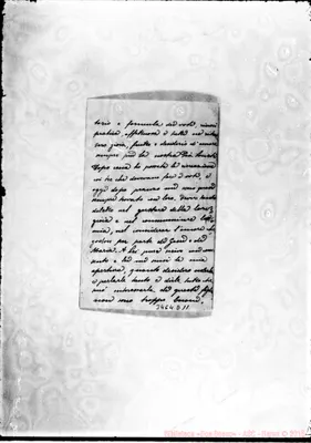 Fotogramma D 11