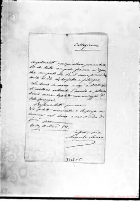 Fotogramma C 5