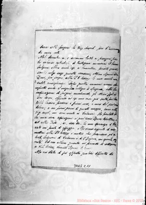 Fotogramma C 11