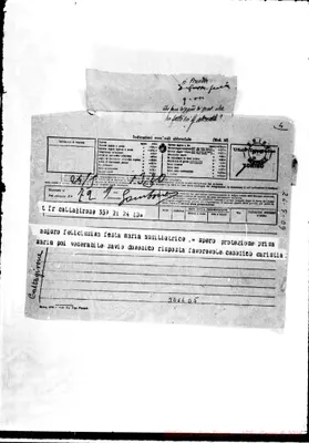 Fotogramma D 5