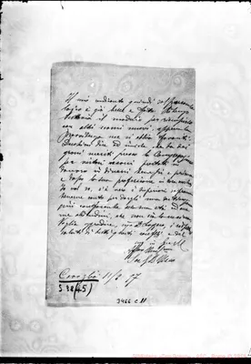 Fotogramma C 11