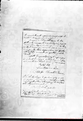 Fotogramma C 2