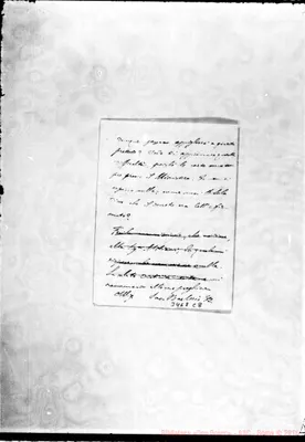 Fotogramma C 8