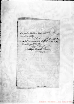 Fotogramma D 12
