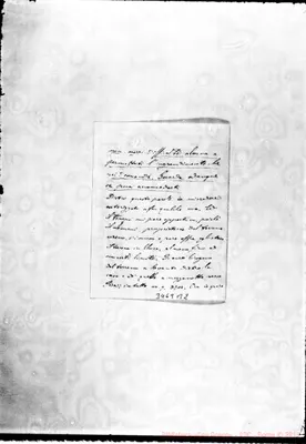 Fotogramma B 2