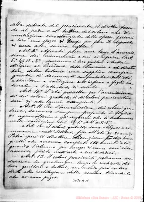 Fotogramma A 11